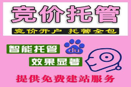 SEM托管代运营案例解析：ROI大幅提升的秘诀